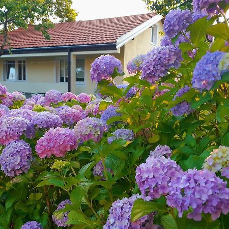 Cvjetni Apartmani Cetinje Exteriér fotografie