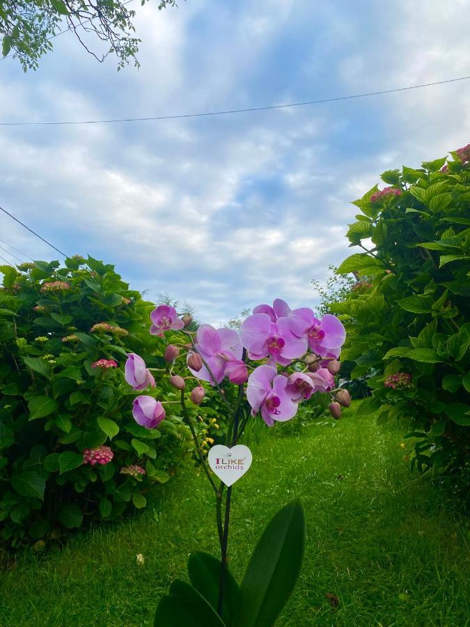Cvjetni Apartmani Cetinje Exteriér fotografie