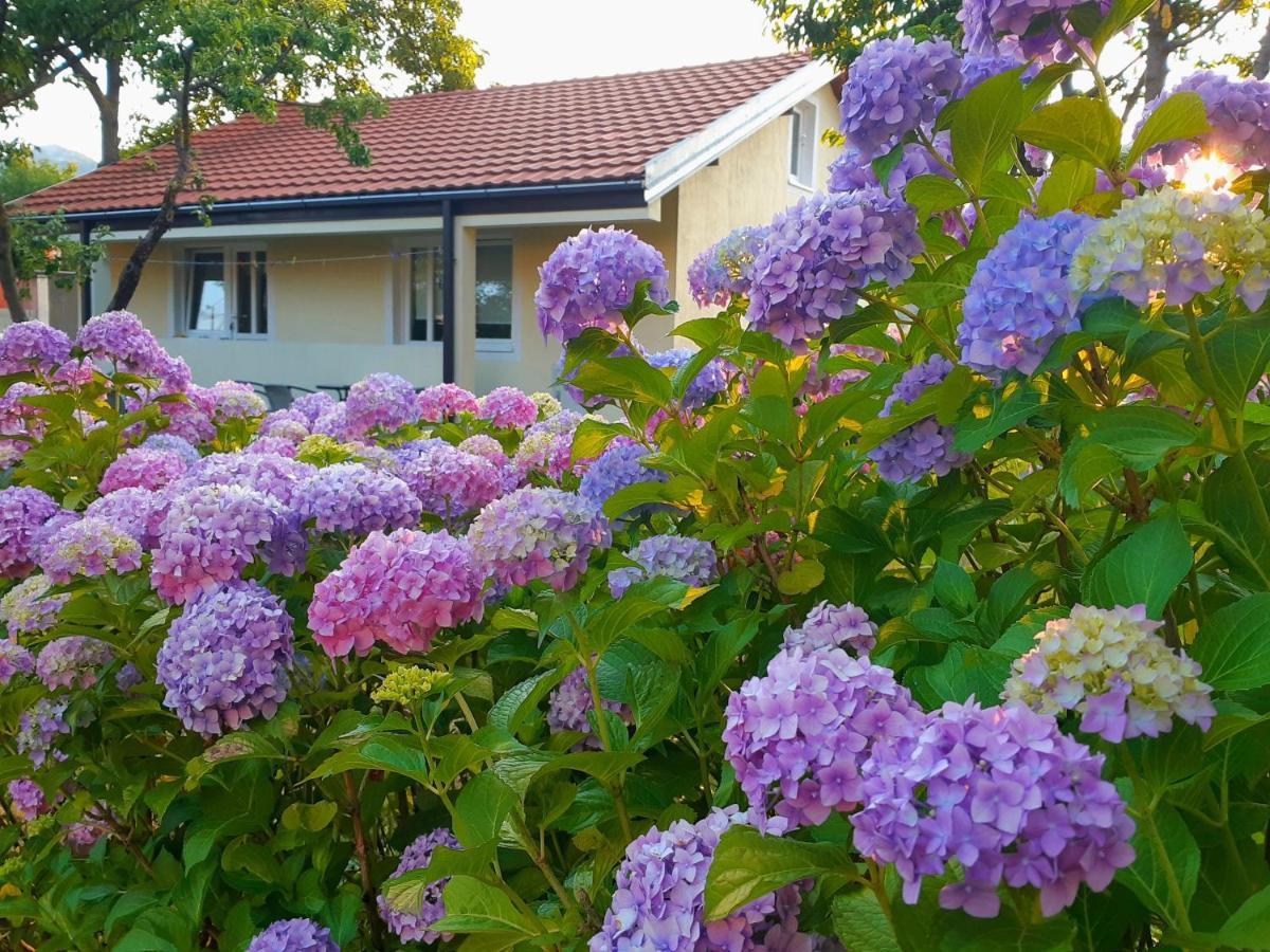 Cvjetni Apartmani Cetinje Exteriér fotografie