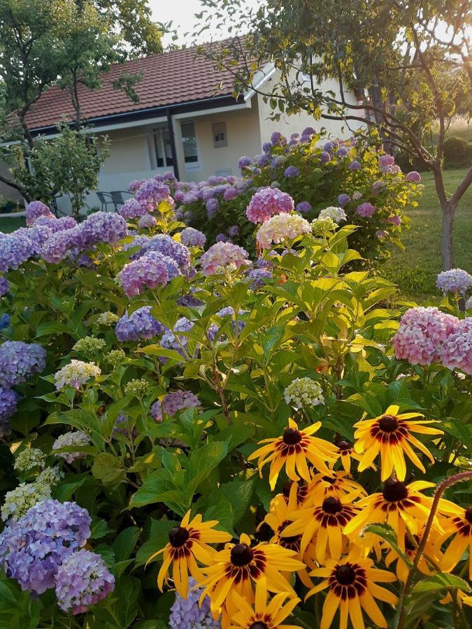 Cvjetni Apartmani Cetinje Exteriér fotografie