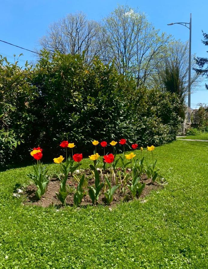 Cvjetni Apartmani Cetinje Exteriér fotografie