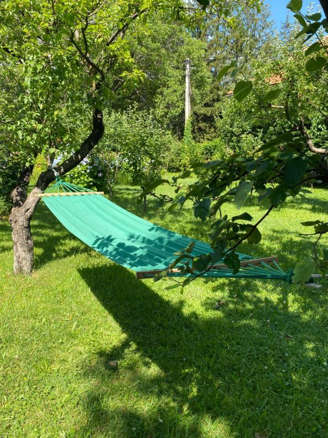 Cvjetni Apartmani Cetinje Exteriér fotografie