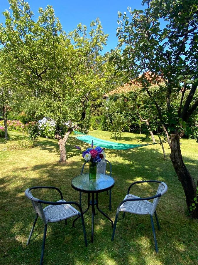 Cvjetni Apartmani Cetinje Exteriér fotografie
