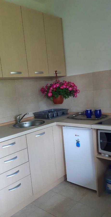 Cvjetni Apartmani Cetinje Exteriér fotografie