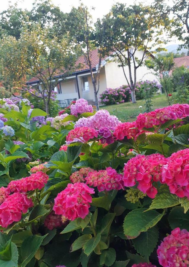 Cvjetni Apartmani Cetinje Exteriér fotografie